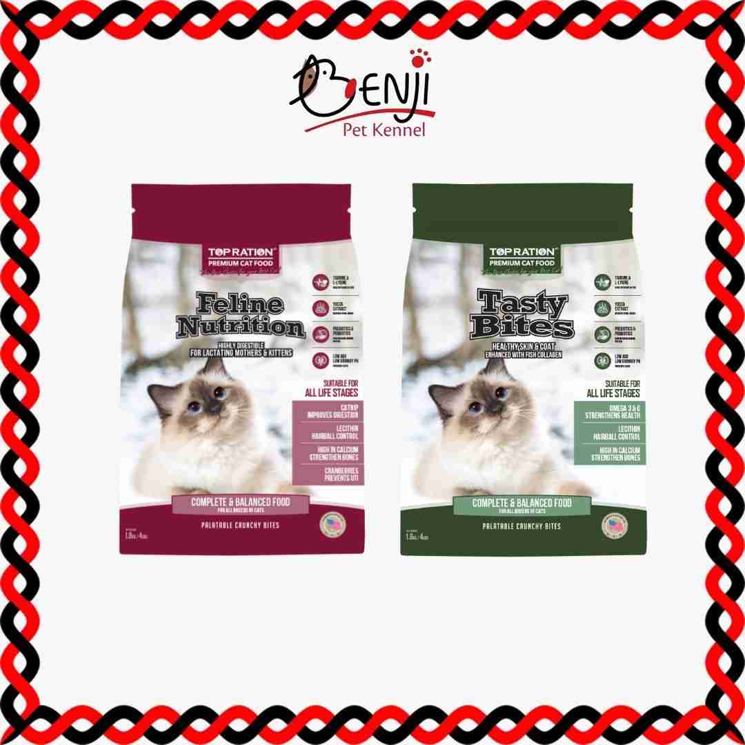 Best Pet Groomer